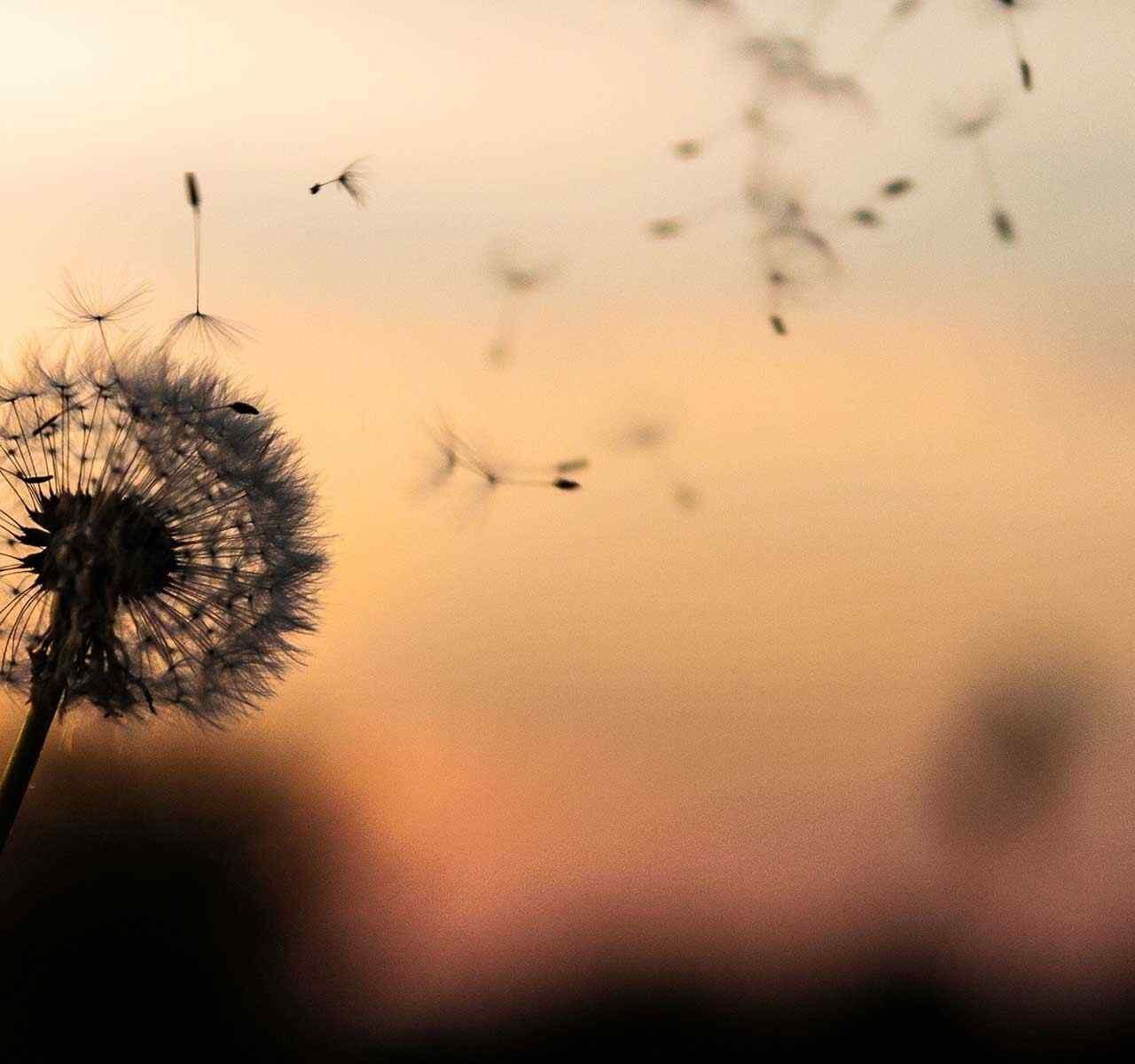 https://bayanalmana.com/wp-content/uploads/2018/09/post_02-1280x1200.jpg